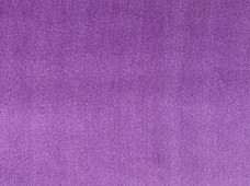 Satin Sity Jelly