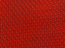Sequins Ruby