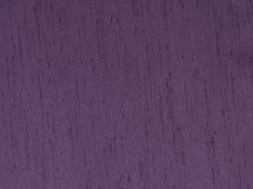 Shantung Plum