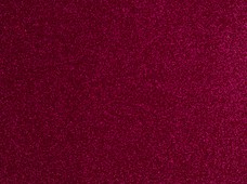 Sparkel Fuchsia