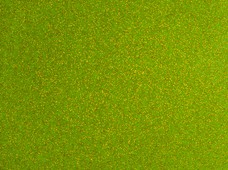 Sparkel Kiwi