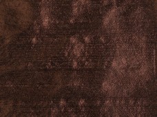 Tissue Lamé Bronze