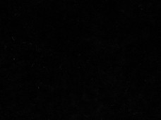 Value Suede Black