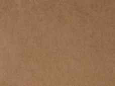 Value Suede Camel