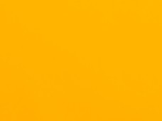 Wet Look Dark Yellow