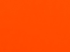 Wet Look Orange